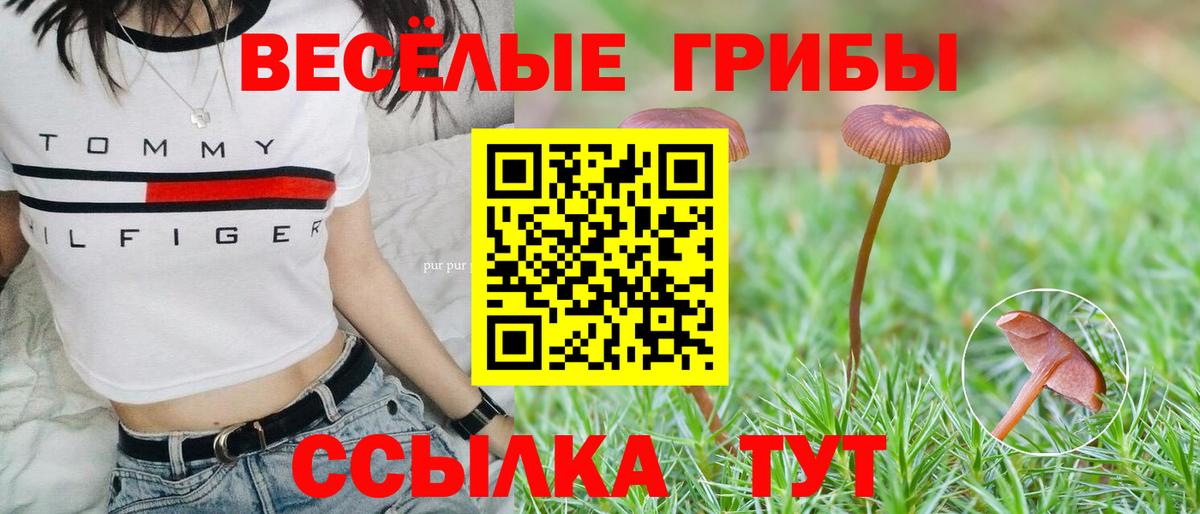 Галлюциногенные грибы ЛСД Калач-на-Дону